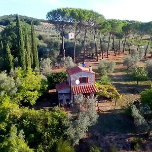 Ferienhaus Il-pino Ferienhaus